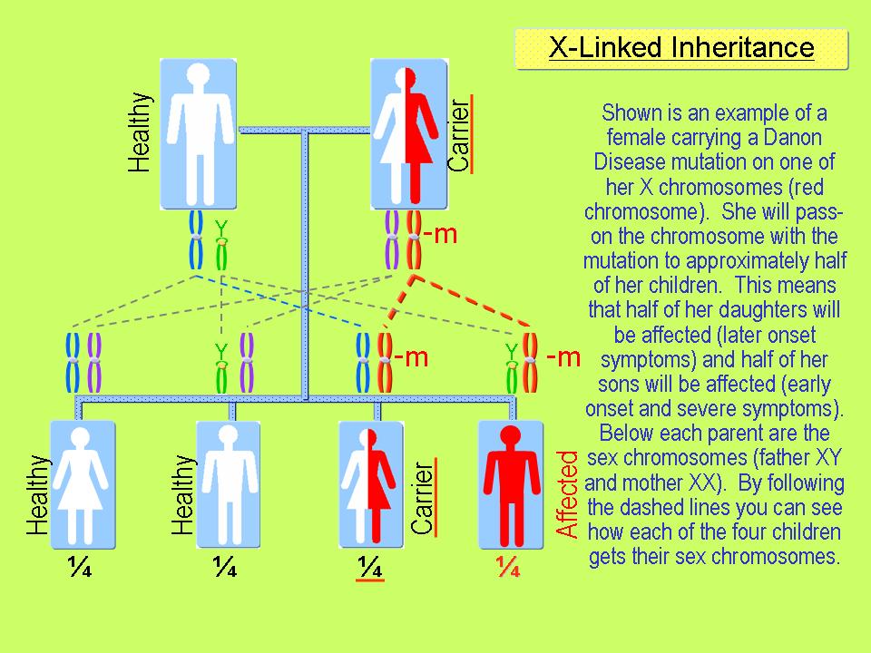 X-Linkedpedigree.jpg